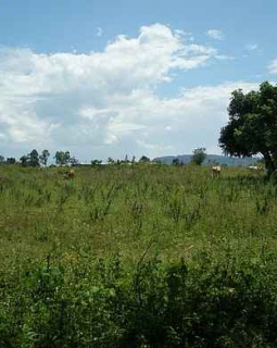 land in lukaya uganda for rent lease